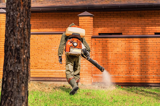 Bed Bug Clearance Verification and Documentation in Lordstown